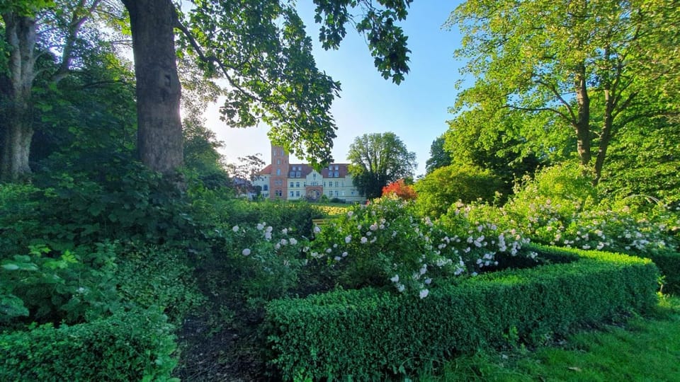 Property building, Garden