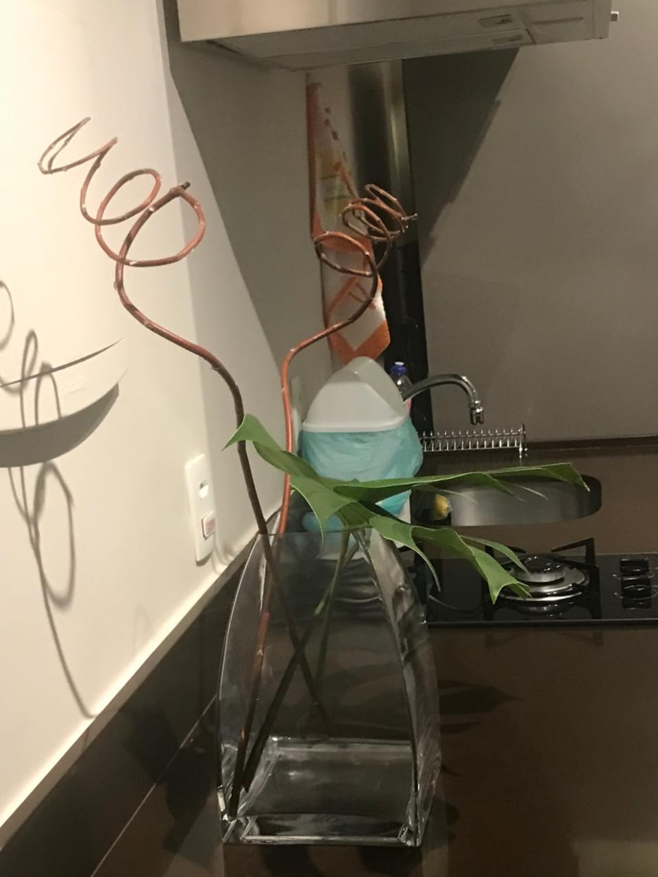 Communal kitchen