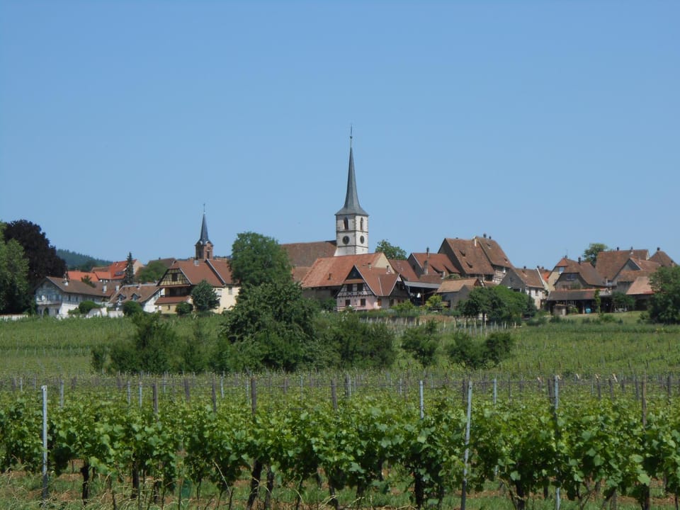 Day, Neighbourhood