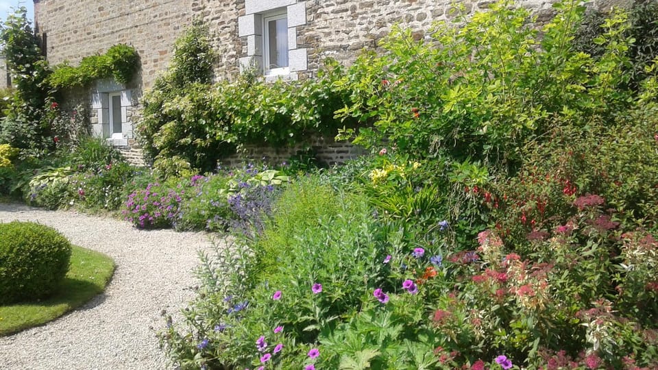 Property building, Garden view