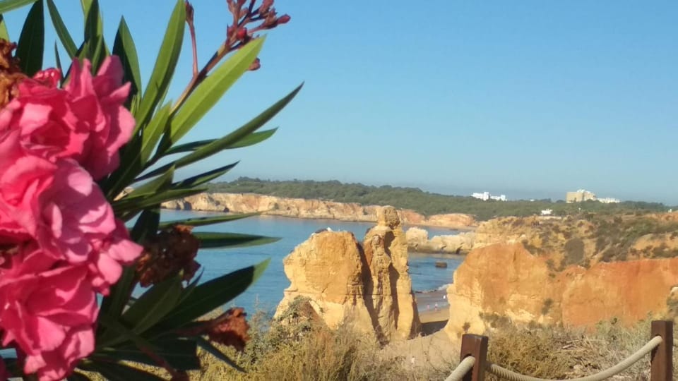 Natural landscape