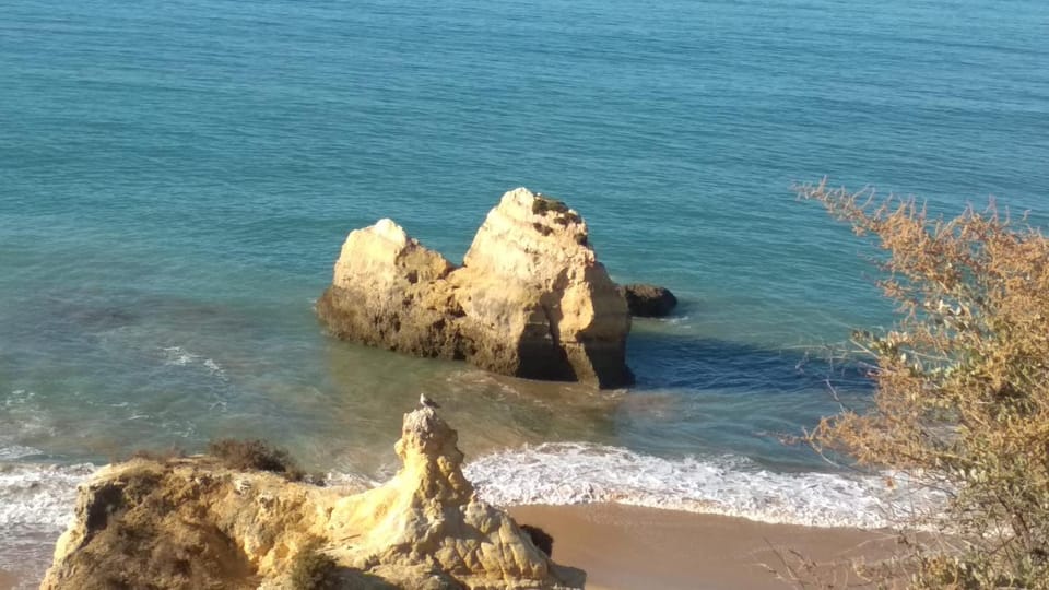 Natural landscape