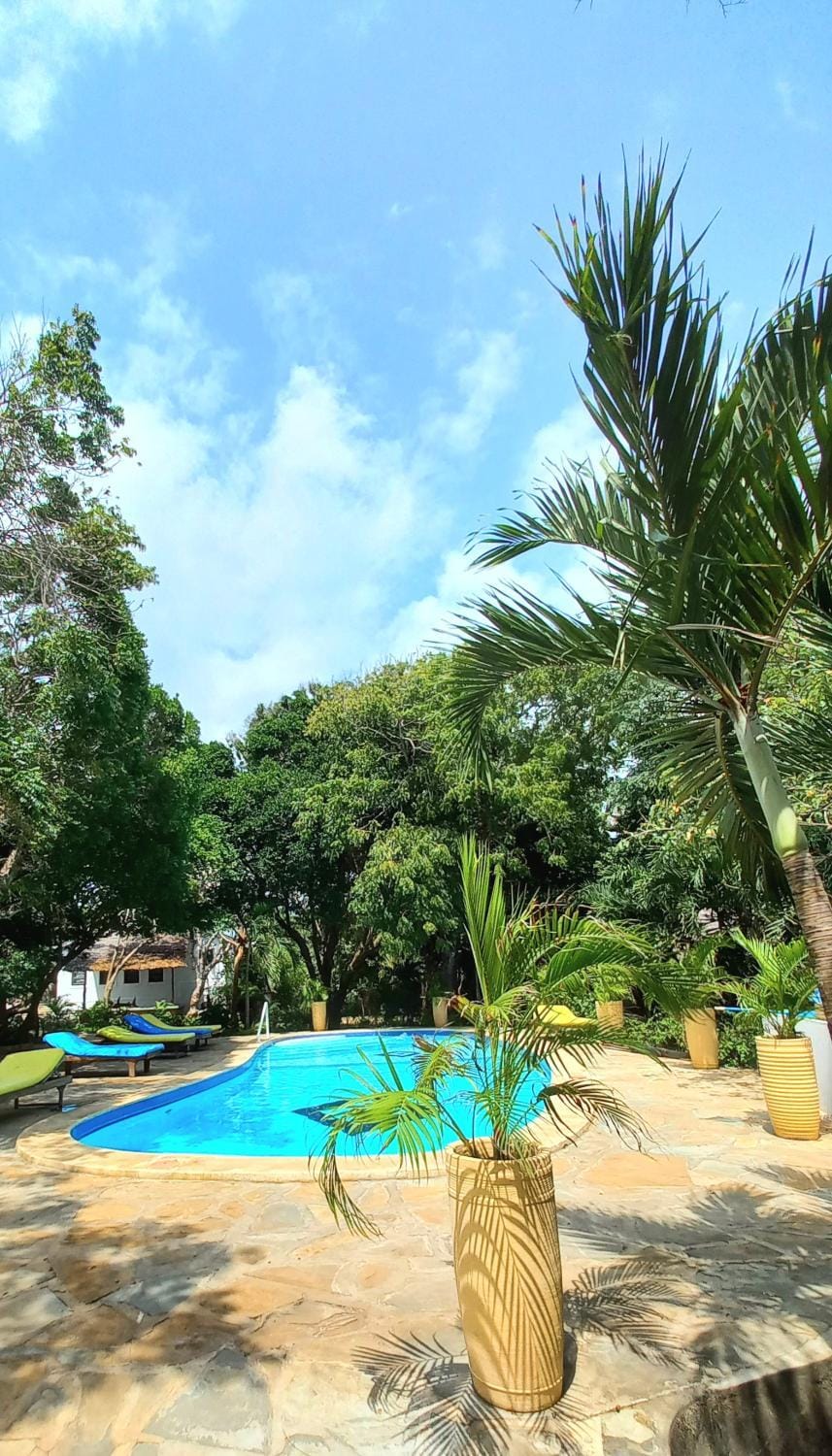 Garden, Swimming pool