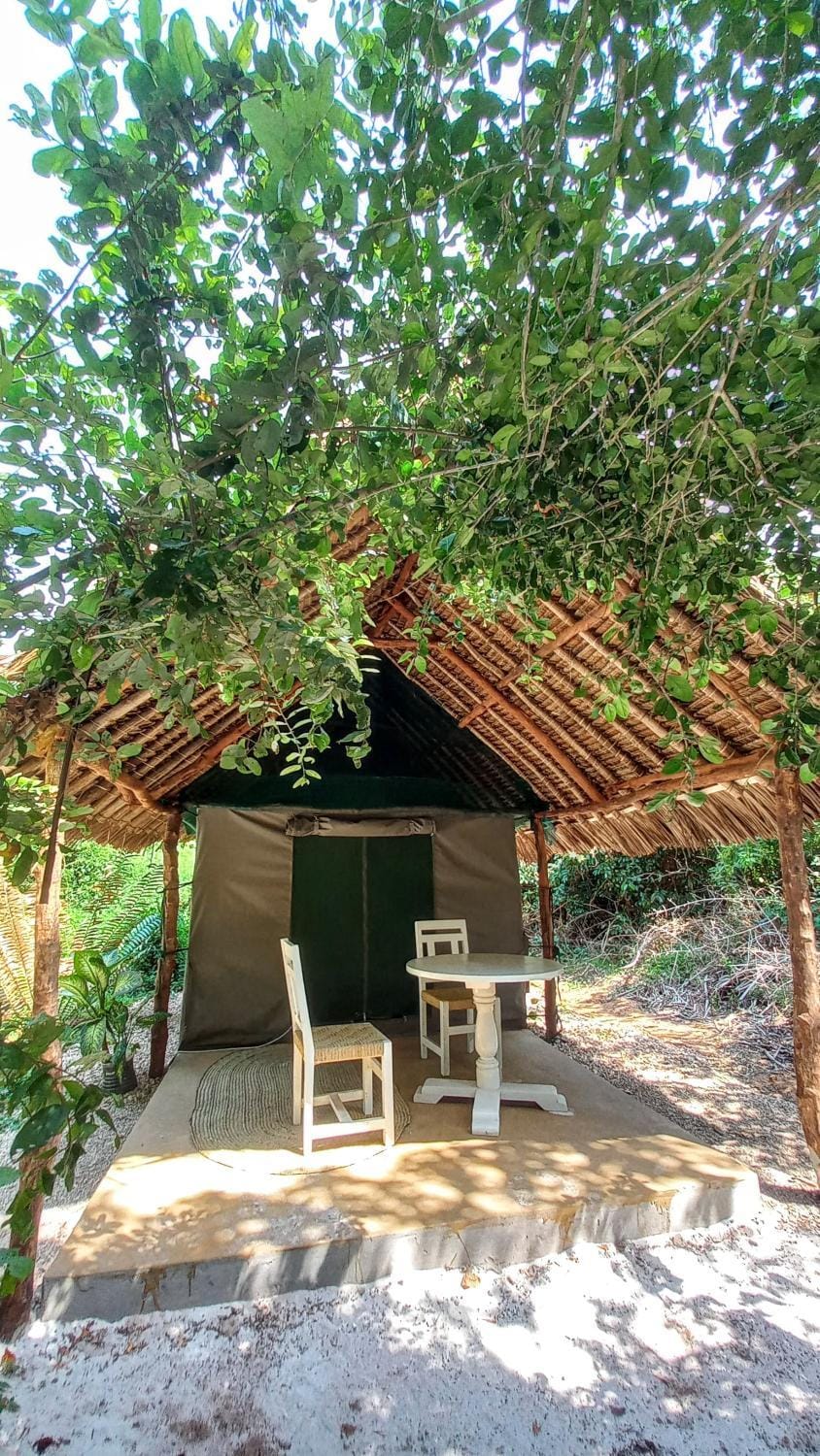 Property building, Patio, Garden, Garden view