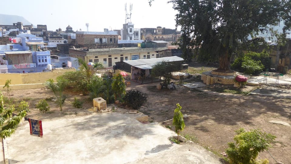 Garden view