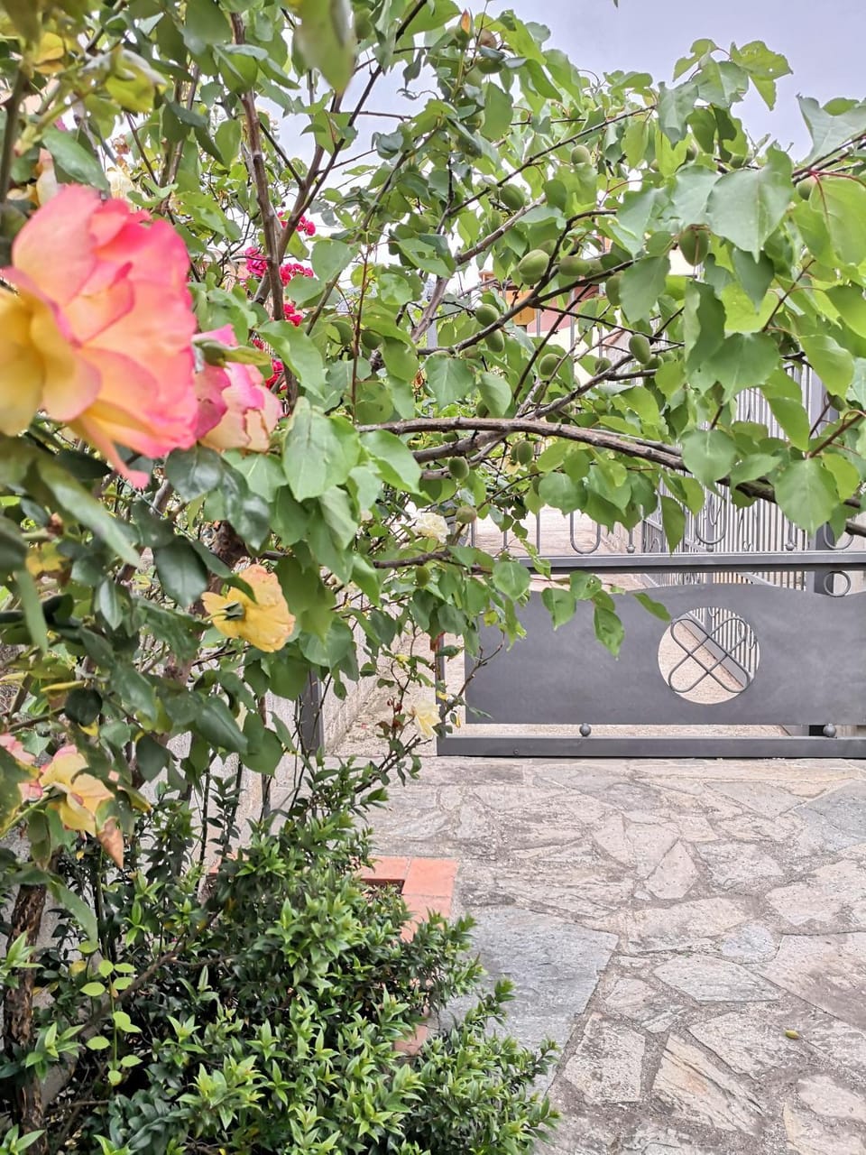 Facade/entrance, Garden