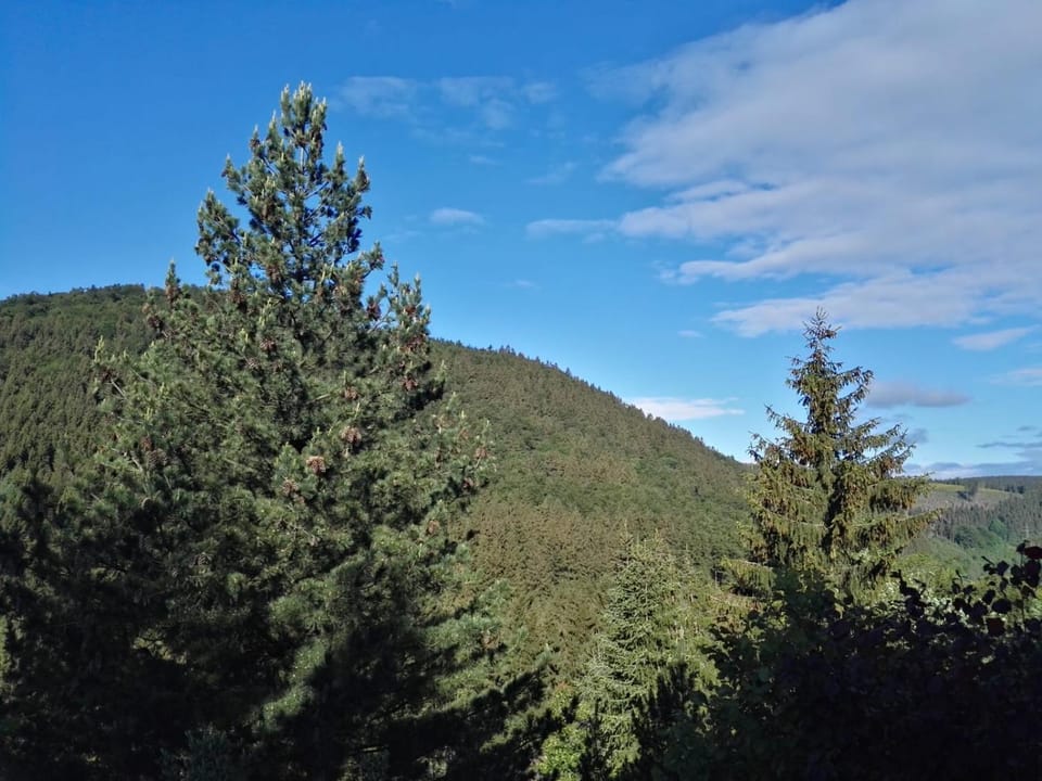 Mountain view