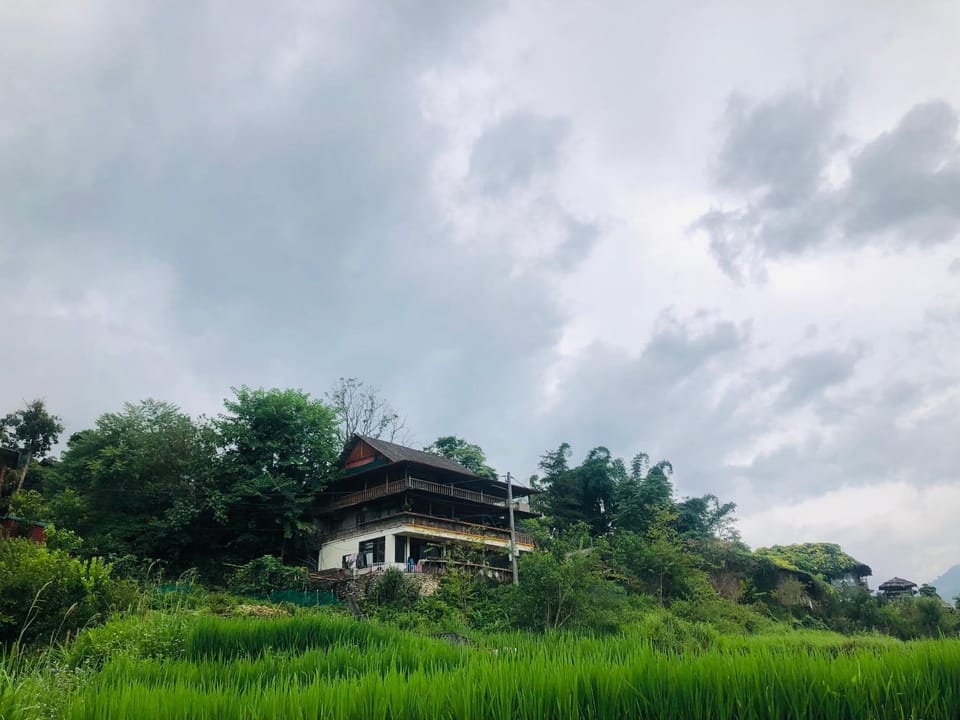 Property building, Spring, Day, Natural landscape, Garden, Garden view