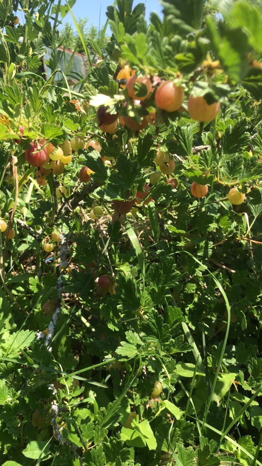 Bio Fattoria Cà d'Pignat Bed and Breakfast in Emilia-Romagna