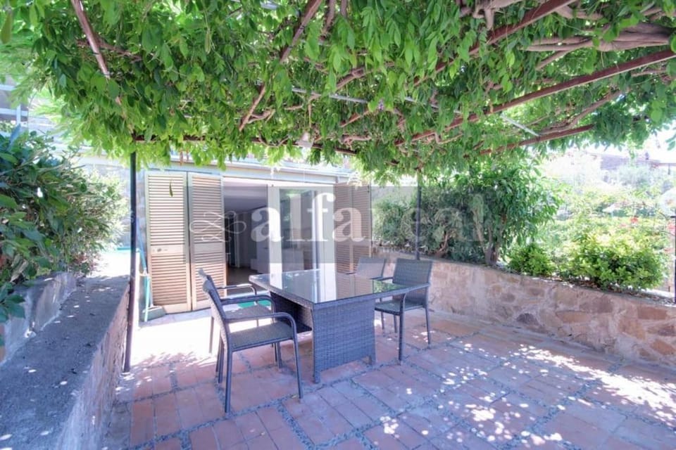 Patio, Garden, Dining area