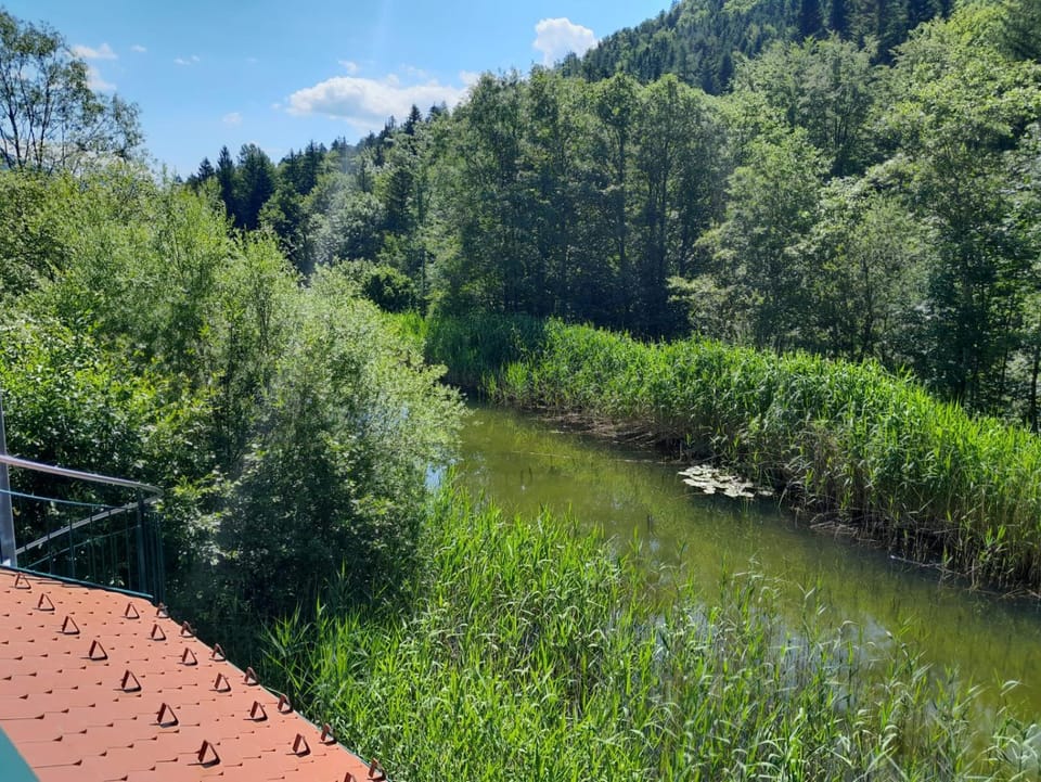 Spring, Day, Natural landscape, Lake view