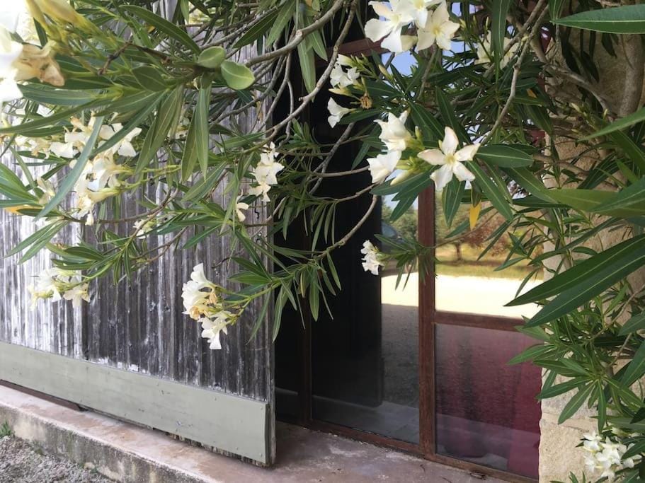 Property building, Facade/entrance, Day, Garden