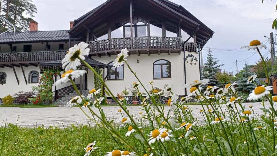 CASA DINTRE PINI House in Romania