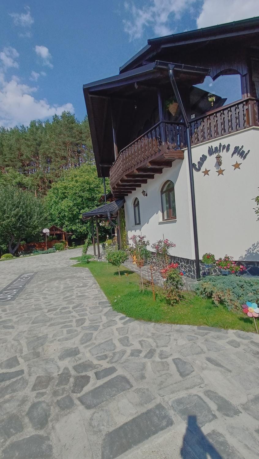 CASA DINTRE PINI House in Romania