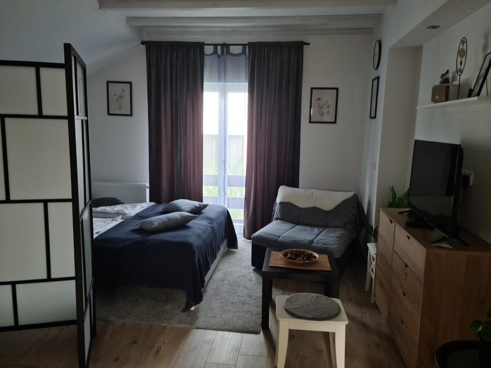 Ušuškani Studio Apartment in Zlatibor District, Serbia