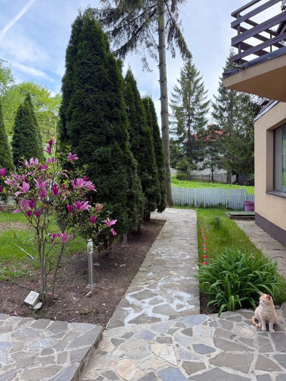 Pensiunea Crescent Predeal Bed and Breakfast in Prahova, Romania