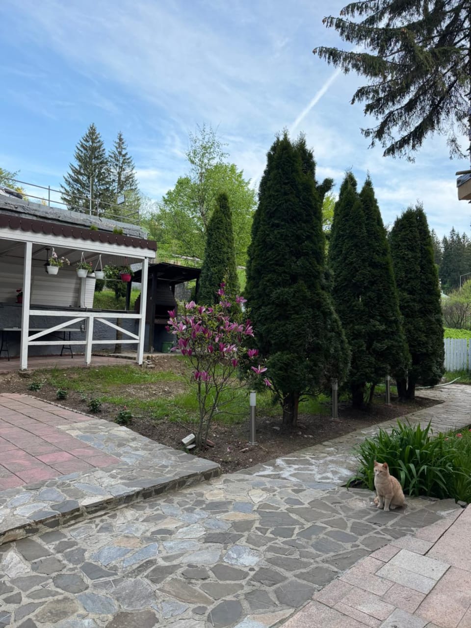 Pensiunea Crescent Predeal Bed and Breakfast in Prahova, Romania