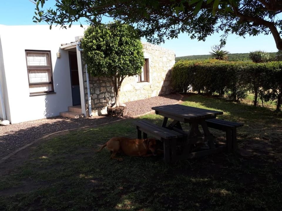 Patio, Facade/entrance, Garden, Animals, Pets