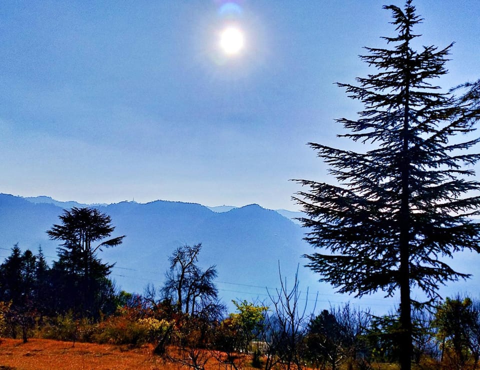 Natural landscape, View (from property/room), Mountain view