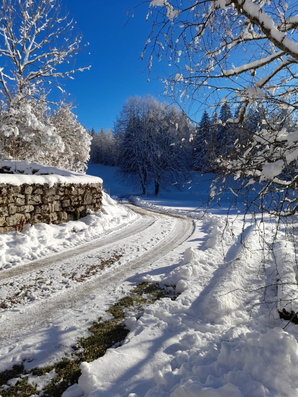 Ch'tit Jura Bed and Breakfast in Haute-Savoie