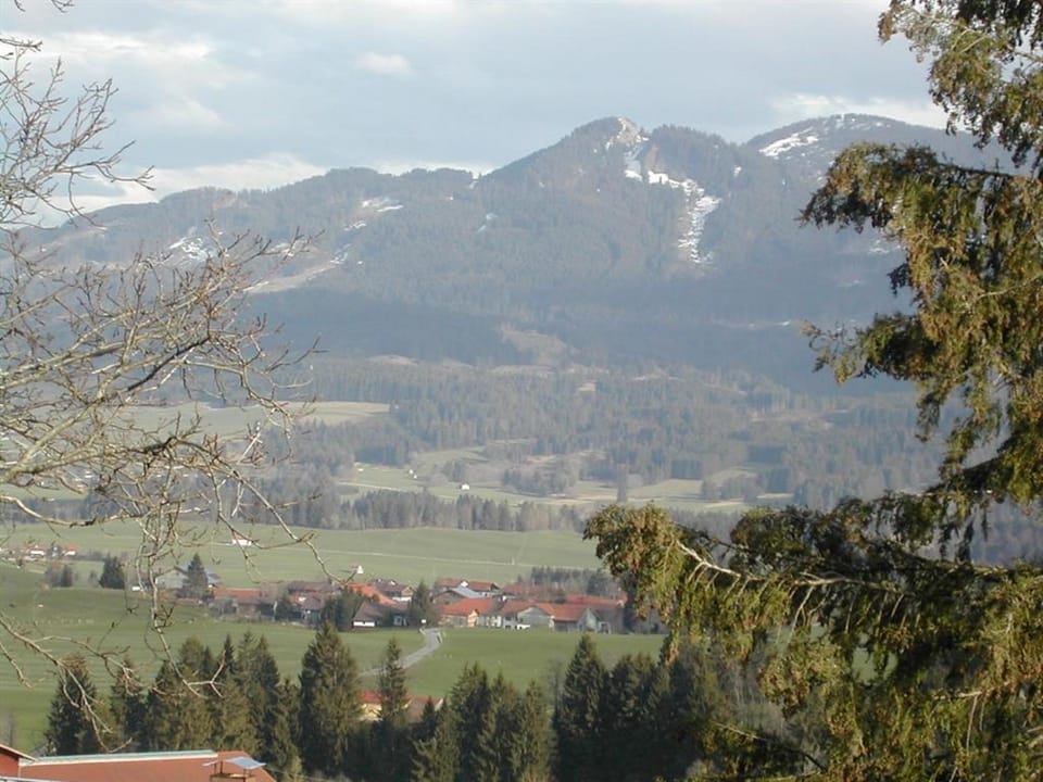 Natural landscape