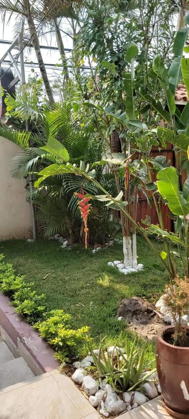 Day, Garden, Garden view