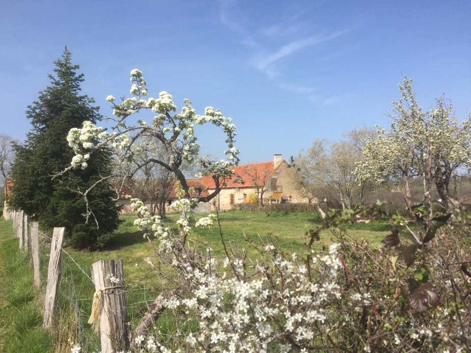 Property building, Spring, Day