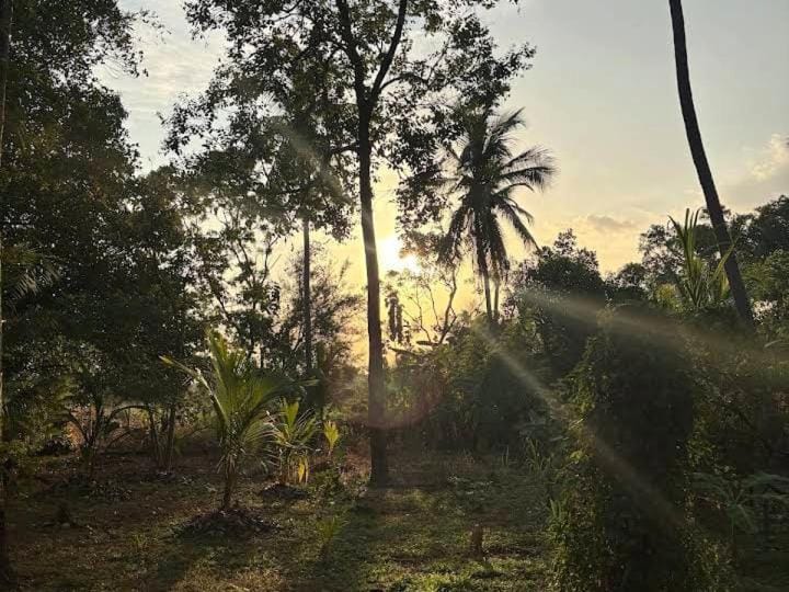 Ema homestay Vacation rental in Dambulla