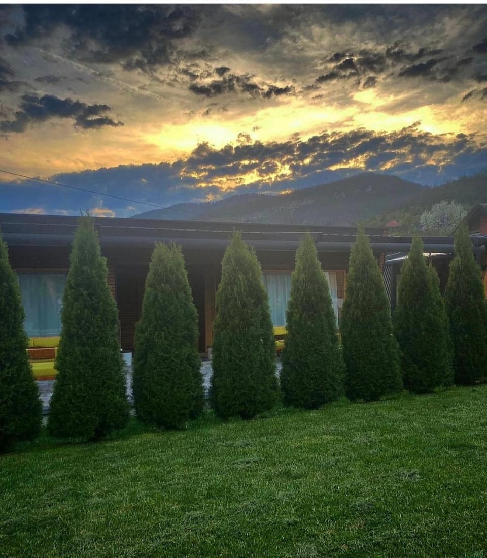 Alexandar studio apartman Apartment in Zlatibor District, Serbia