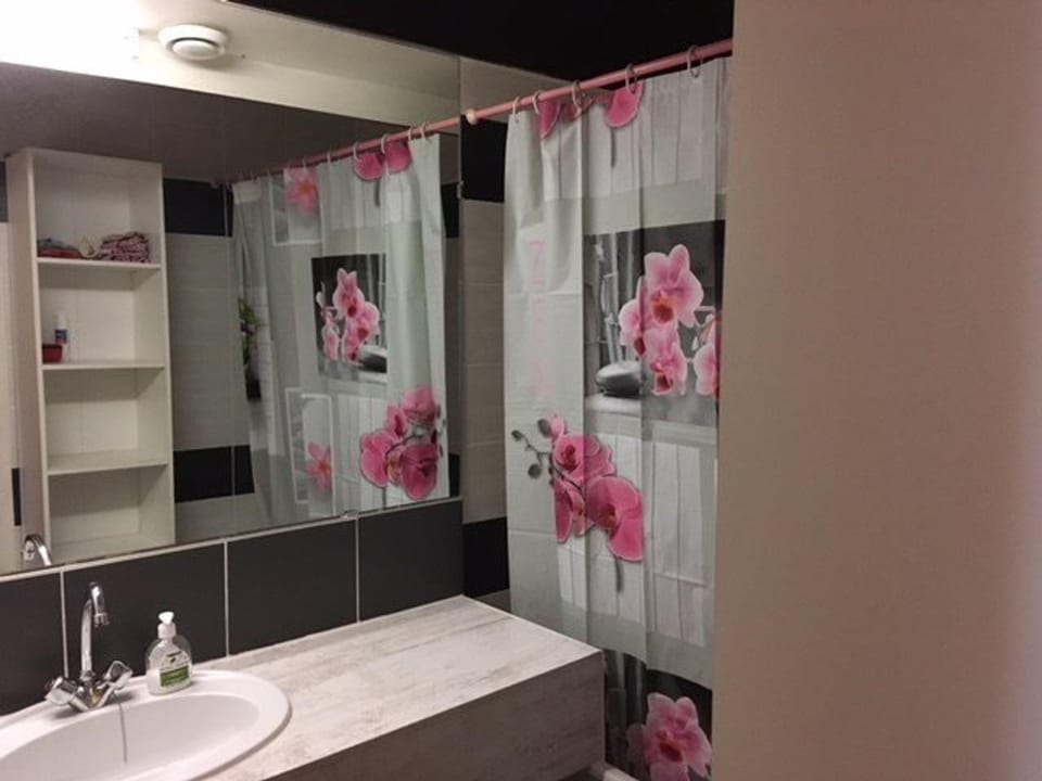 Studio cabine 5 pers, balcon, 80m pistes, animaux ok - FR-1-404-228 Cabin in Aragon