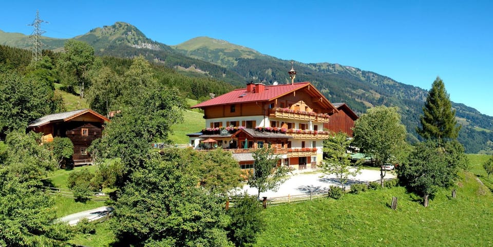 Property building, Neighbourhood, Garden