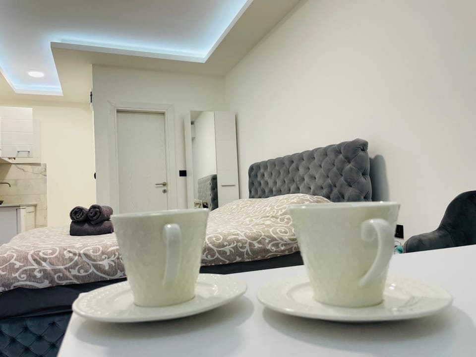 Luxury Centar Apartment in Serbia
