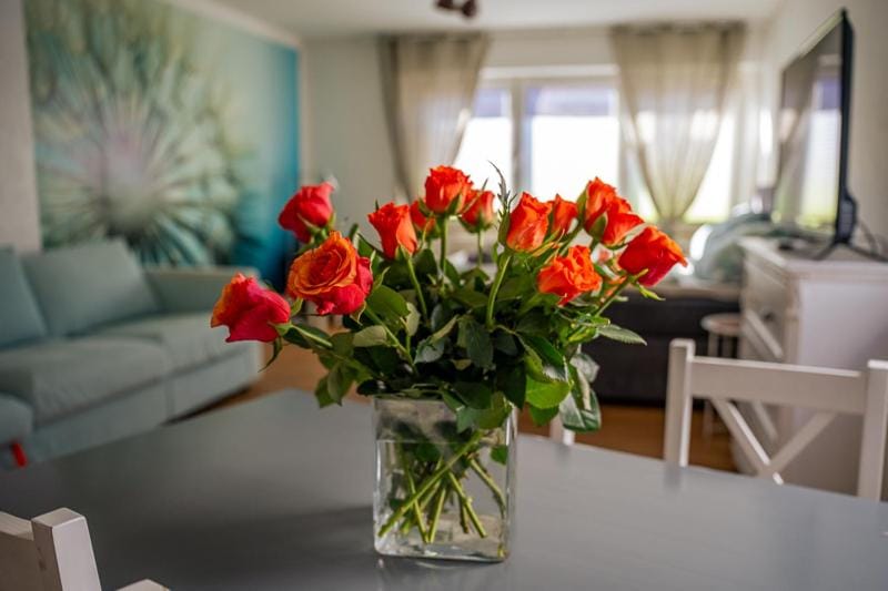 Charlotte Stadtoase - im Herzen Friedrichshafens Apartment in Friedrichshafen