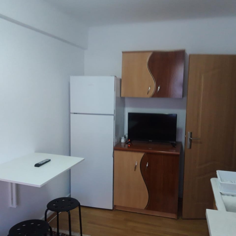 RIO STUDIO Apartment in Sinaia