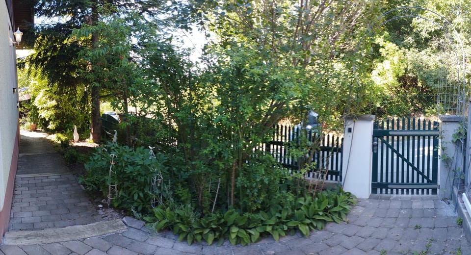 Facade/entrance, Garden, Garden view