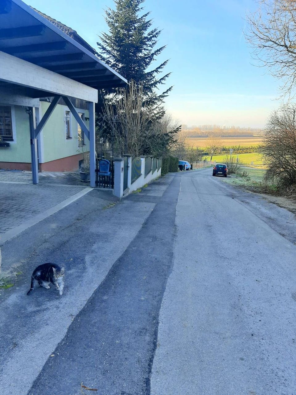 Facade/entrance, Neighbourhood, Natural landscape, Pets, Street view