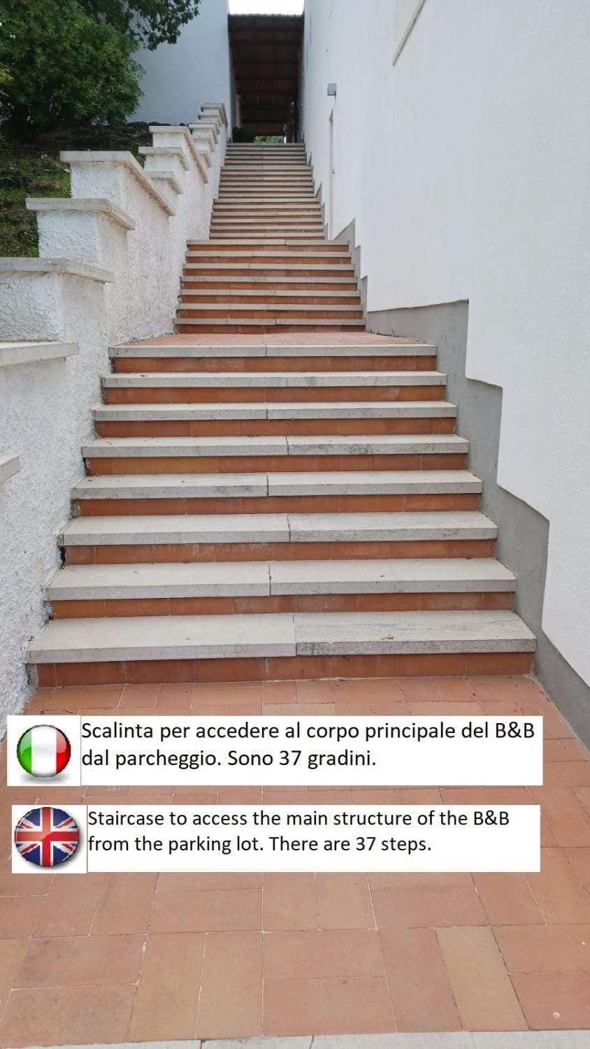 B&B Casabianca Palinuro Bed and Breakfast in Campania
