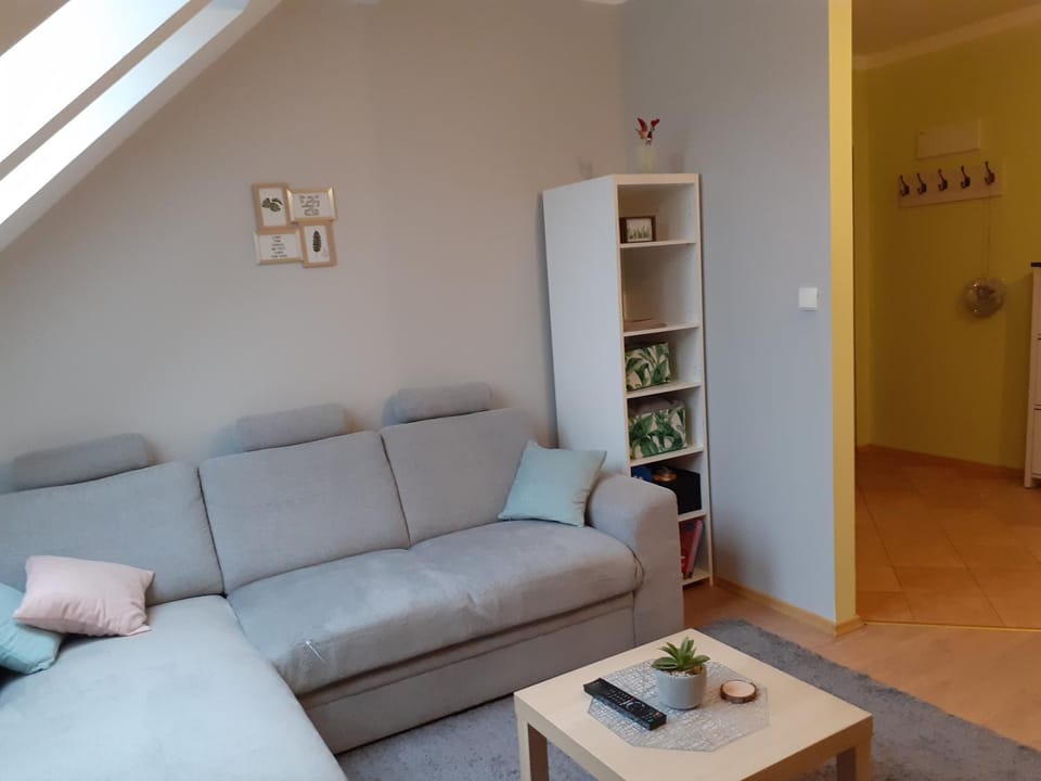 Apartament Kaktus Apartment in Poland