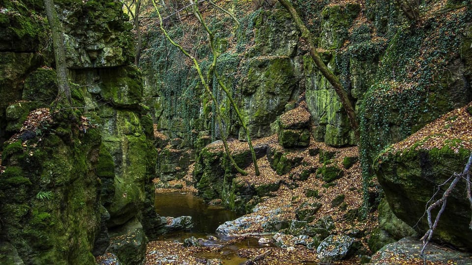 Hiking