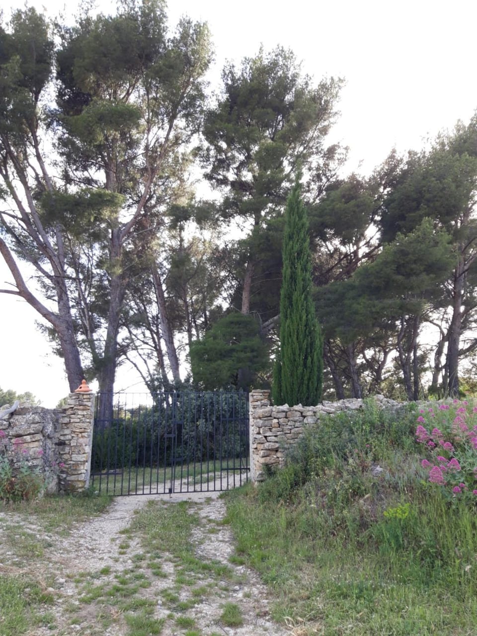 Natural landscape, On site