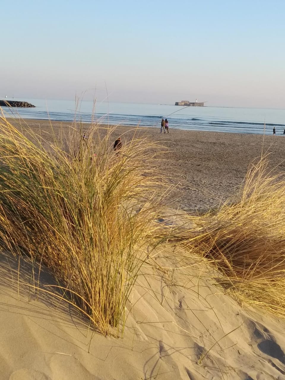 Natural landscape, Beach