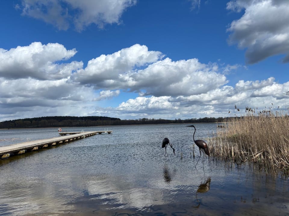 Lake view