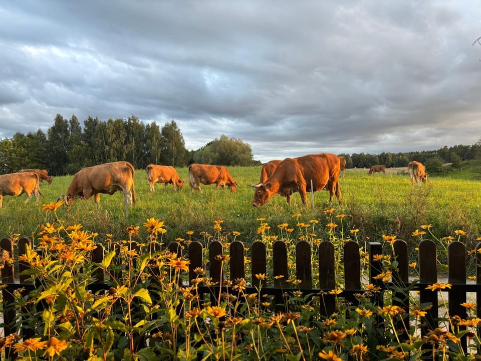 Letni domek na Mazurach House in Lithuania