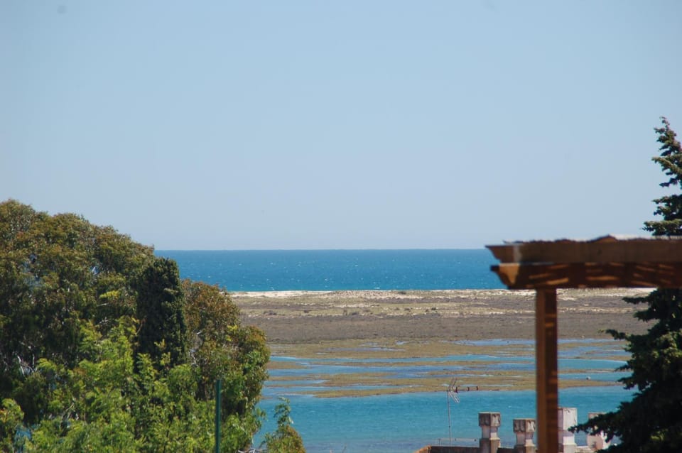 Villa Pedras d'el Rei House in Faro District