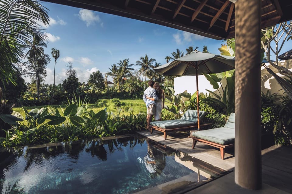 Pool view, Swimming pool