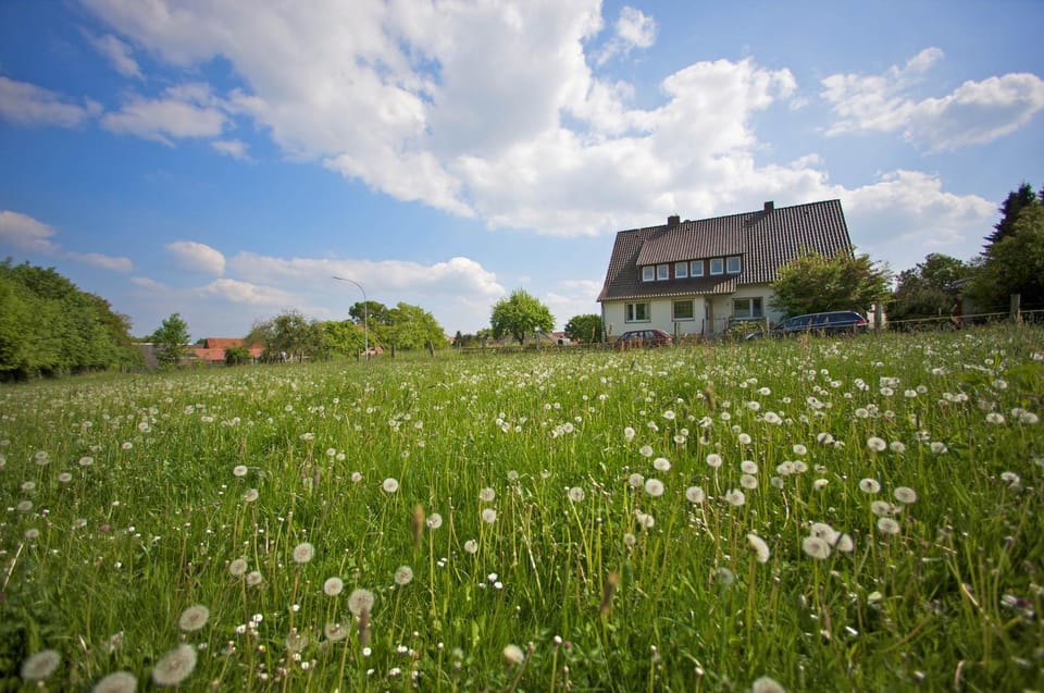 Property building, Spring, Natural landscape