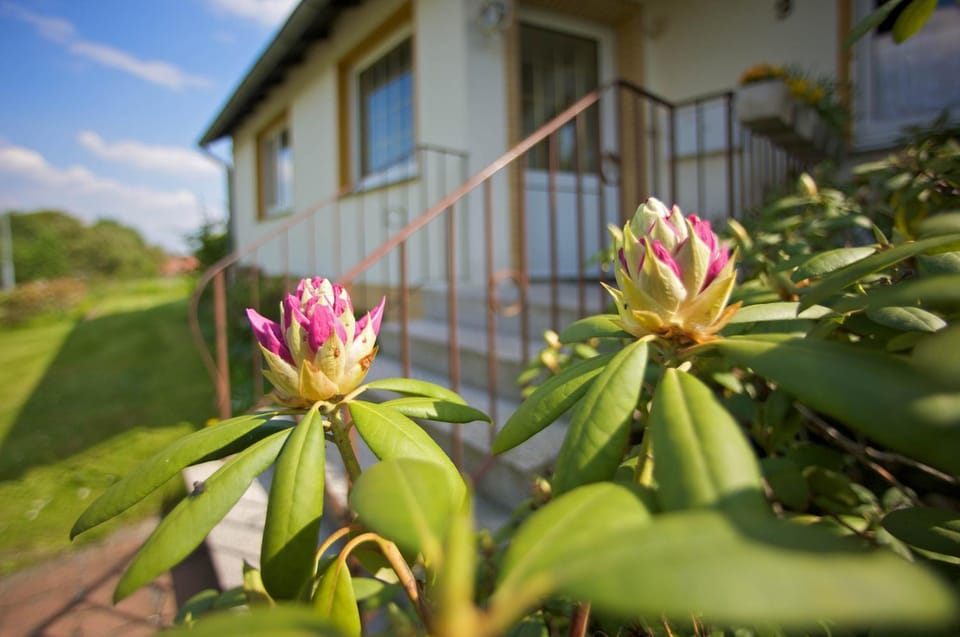 Property building, Spring