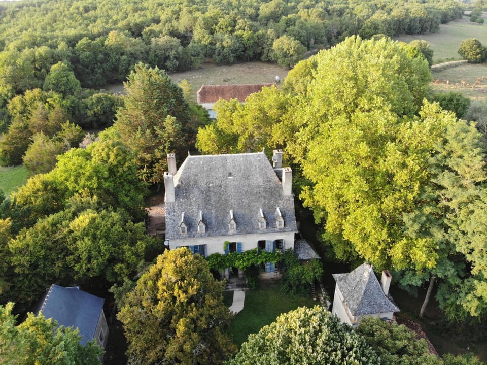 Bird's eye view, Garden view