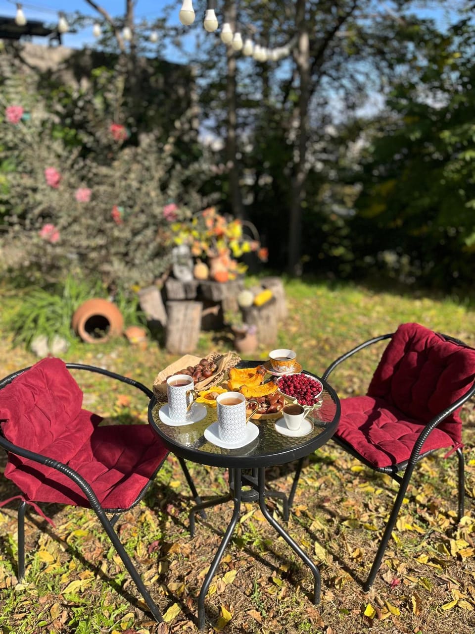 Garden view