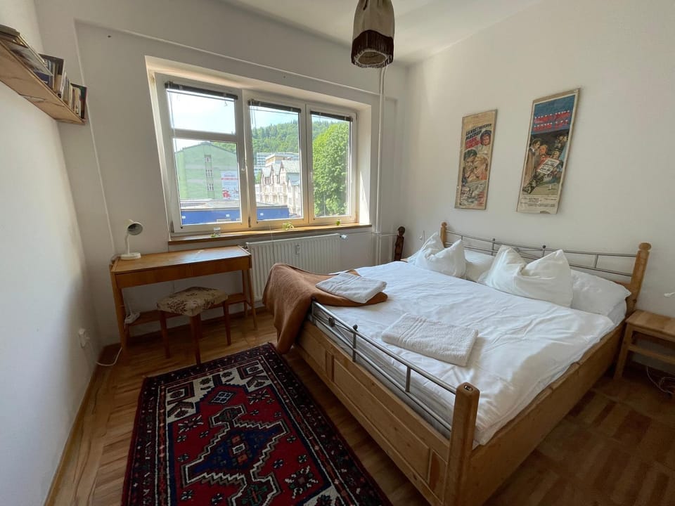 PRO family simple Apartment in Saxony